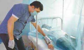 Another 11 dengue patients land in govt hospitals