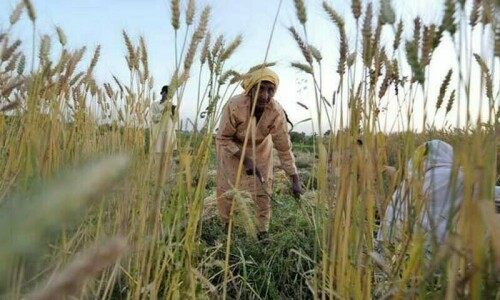 Balochistan farmers reject agri income tax